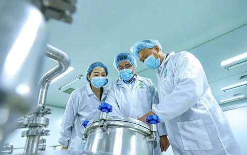 科技賦能張掖農特產品提質增效，植物工廠引領農業現代化
